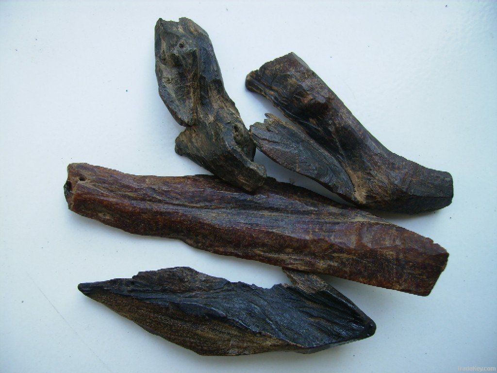 Agarwood, Agar wood, oud, oudh, dehnal oud, bakhoor, bakhur, mukhalat