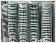 Welded Wire Mesh