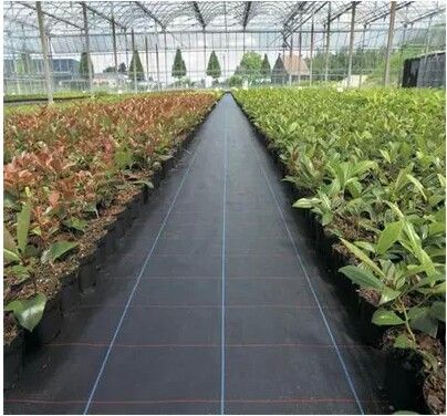 High quality custom made pp weed mat for garden