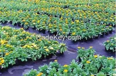 Made in China hot selling custom made pp anti-weed mat for garden