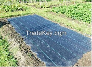 New product custom made pp weed control fabric for garden