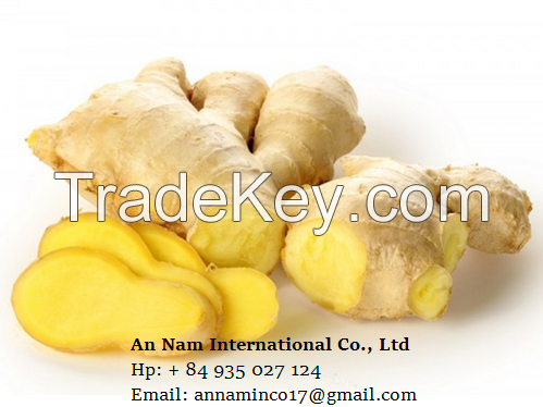 Sell Fresh Ginger