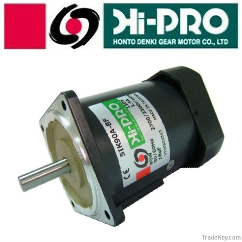 Induction Micro Motor