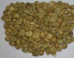  Export Green Coffee Beans | Green Coffee Bean Importer | Green Coffee Beans Buyer | Buy Green Coffee Beans | Green Coffee Bean Wholesaler | Green Coffee Bean Manufacturer | Best Green Coffee Bean Exporter | Low Price Green Coffee Beans | Best Quality Gre