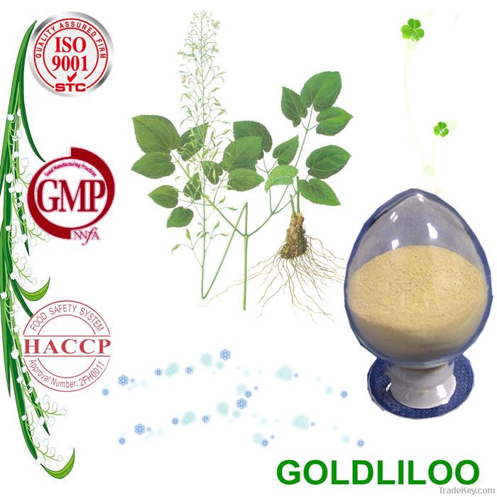 Top Quality Epimedium Extract Icariin with Competitive Price