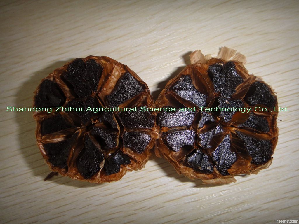 korean black garlic