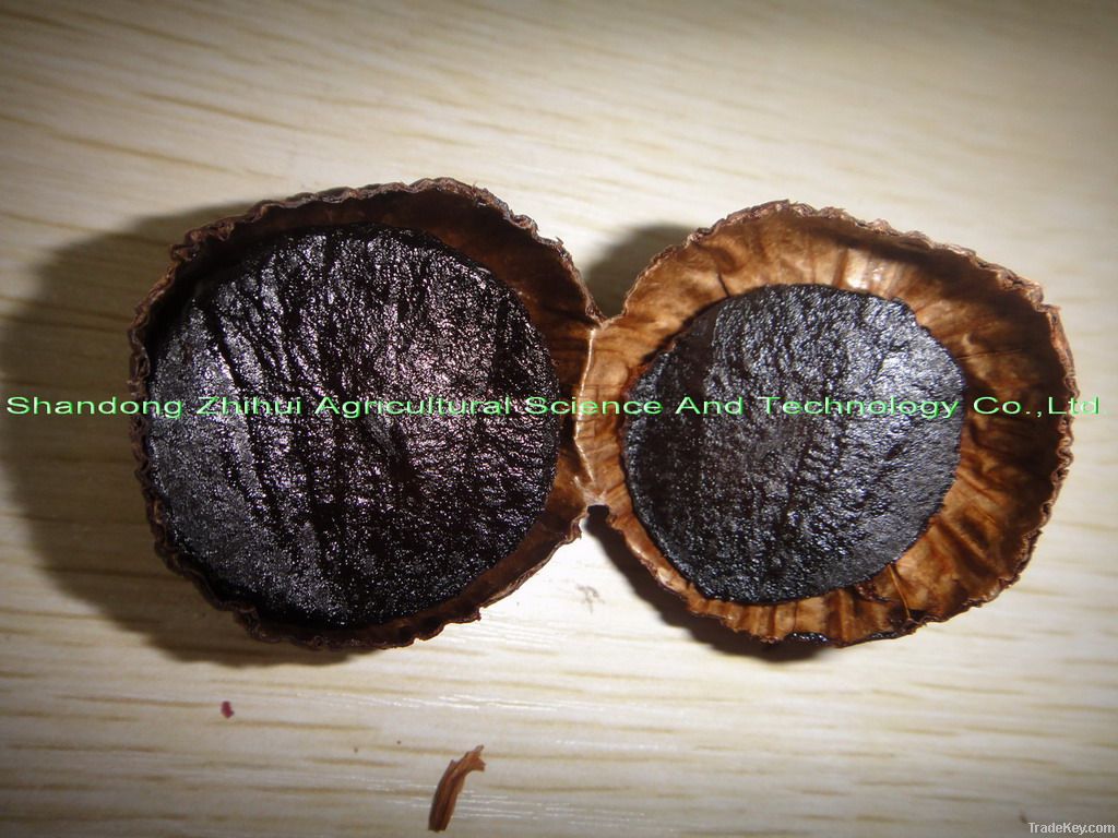 solo black garlic