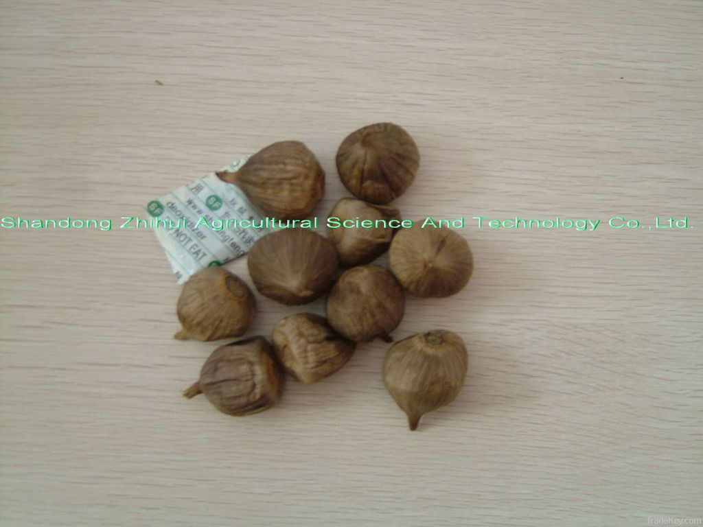 black solo garlic