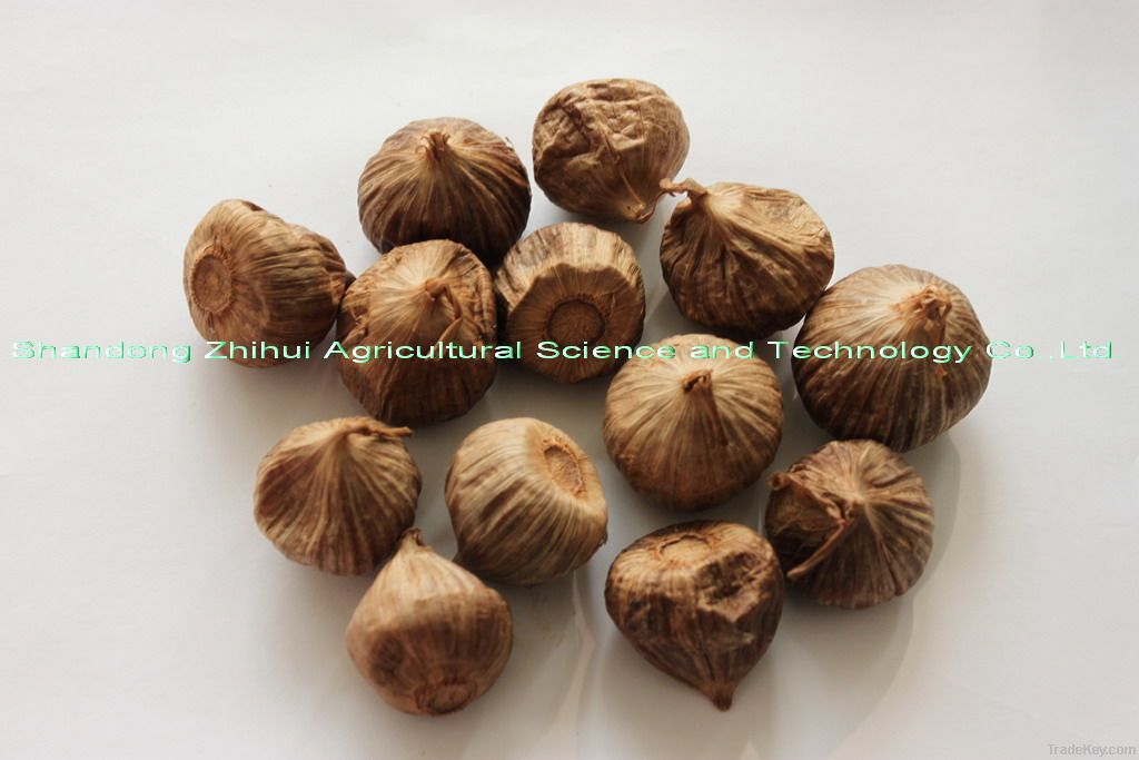 China black solo garlic