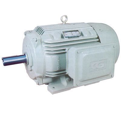 TEFC Induction Motors