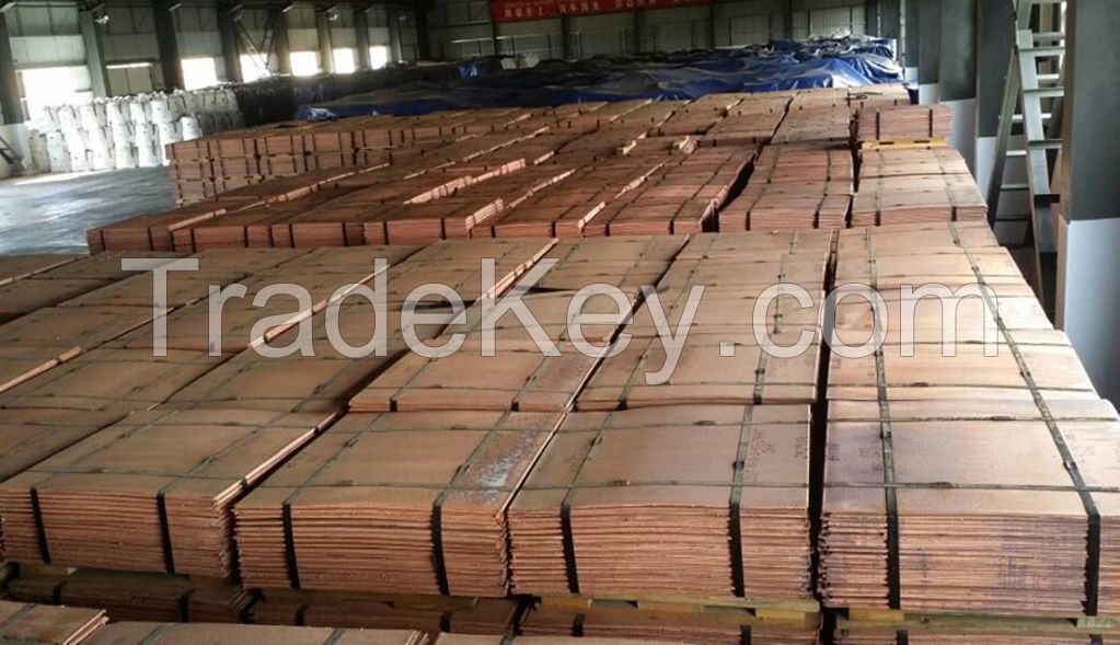 Copper Cathode Best grade AA 99.99%