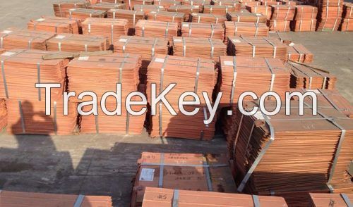 Copper Cathode Best grade AA 99.99%