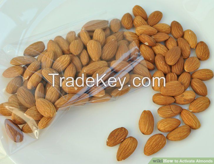 Almond Nuts Quality Raw Almond Nuts