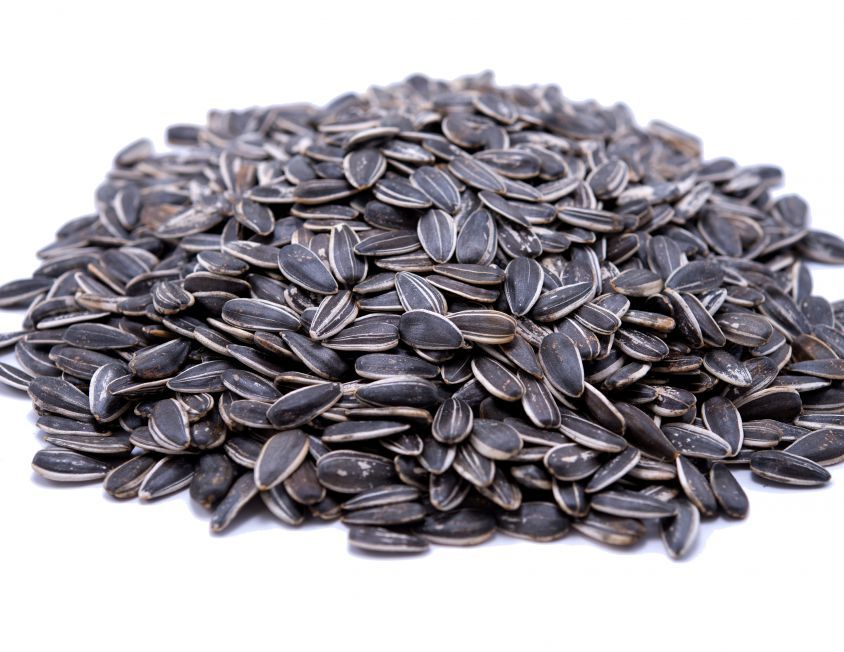 Sunflower Seeds Raw/ Fresh/ Dried