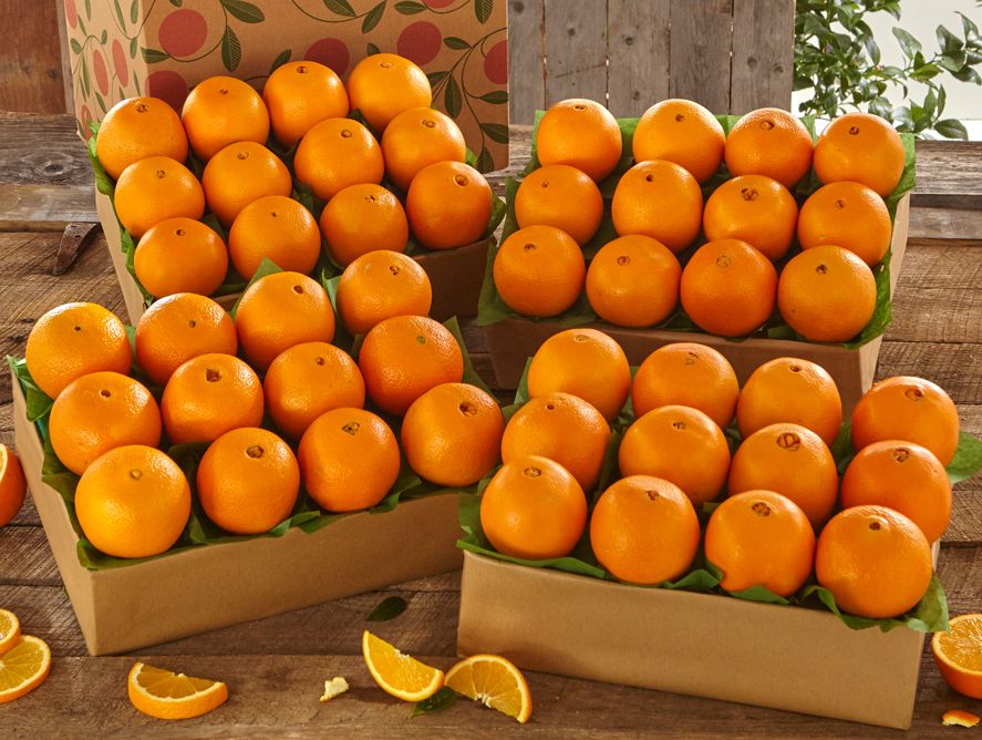 Oranges, Fresh Oranges, Navel Oranges