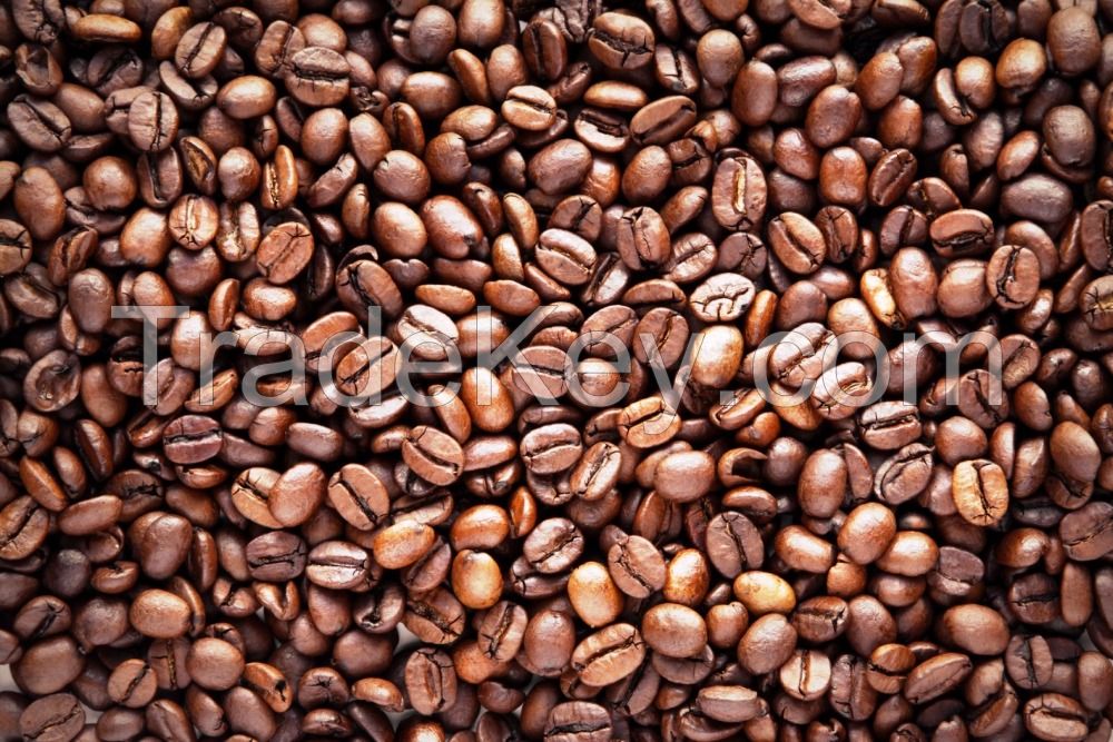 Coffee Beans, Fresh And Dried Coffee Seeds Arabica Robusta Beans