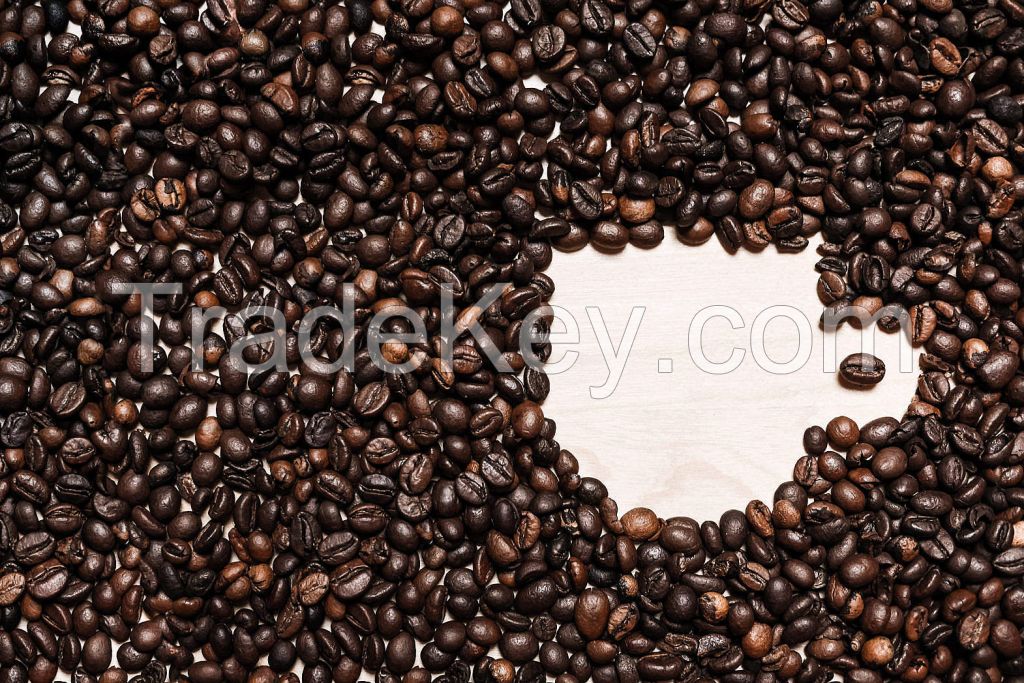 Coffee Beans, Fresh And Dried Coffee Seeds Arabica Robusta Beans