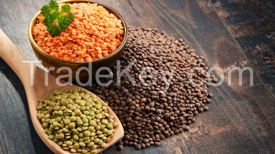 Lentils, Red Lentils, Pink Lentils All Colours, quality whole and split 100% Quality