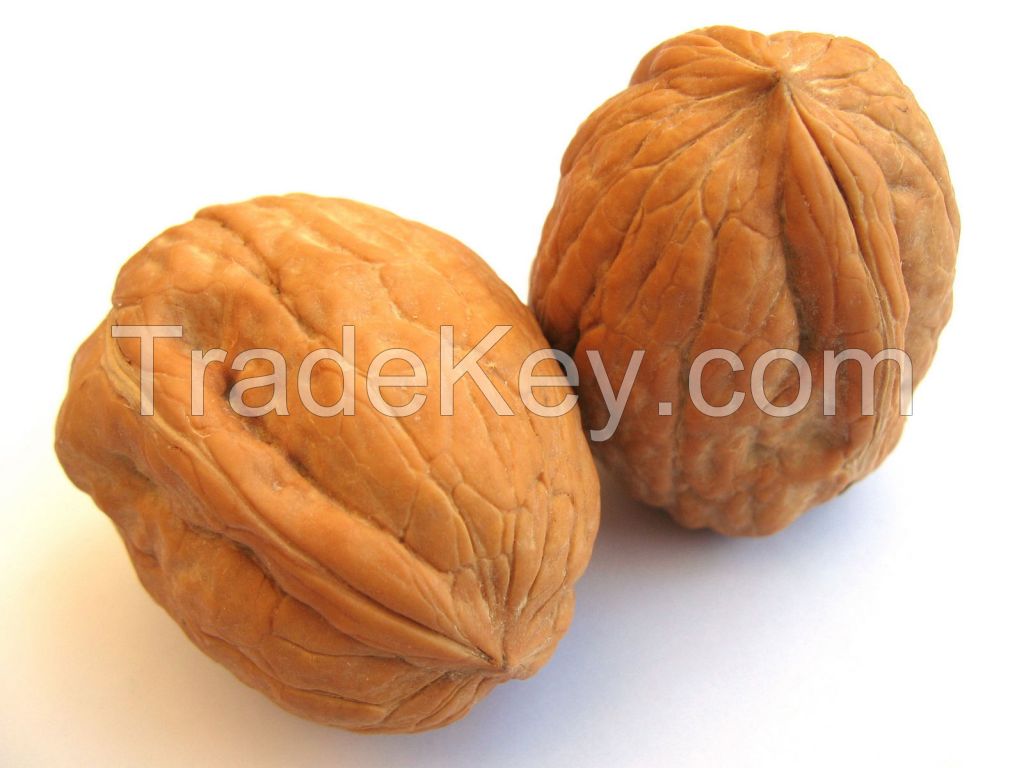 Walnuts, Fresh walnuts, Dried Walnuts, Quality 100%