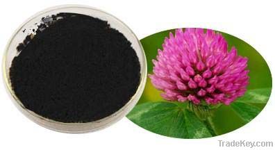 Red Clover Extract