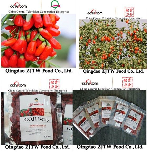 china dried goji berry