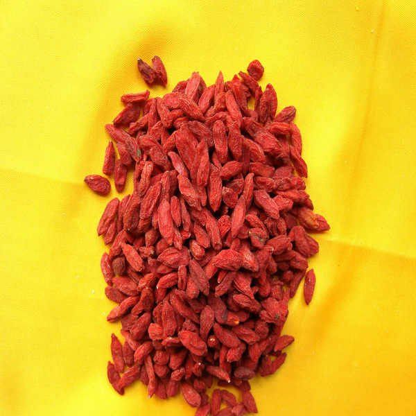 china dried goji berry