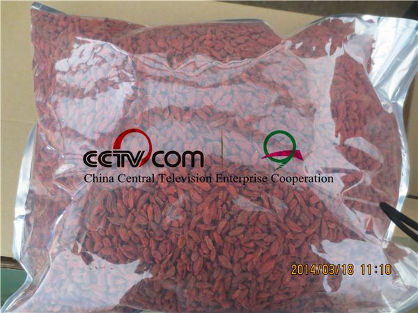 cheap price good quality dried goji berry