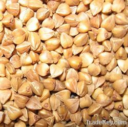 roasted buckwheat kernels