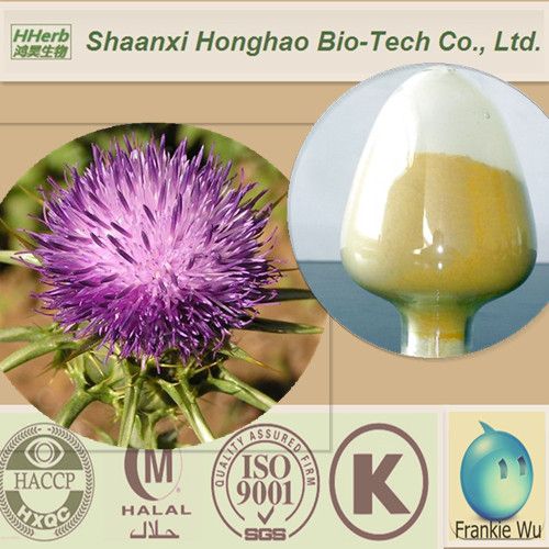 Premium Grade Bulk Milk Thistle Extract Silymarin 80%