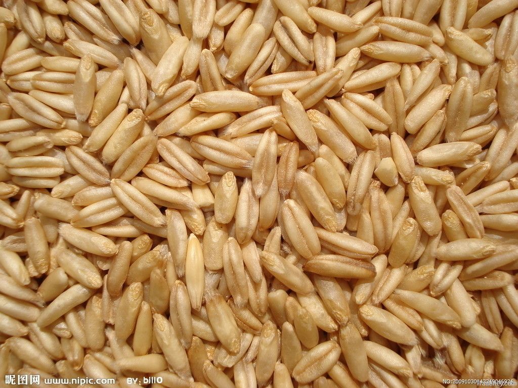 Oat Beta Glucan