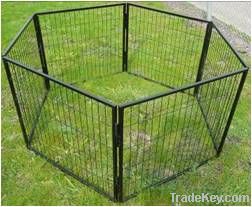 dog fence