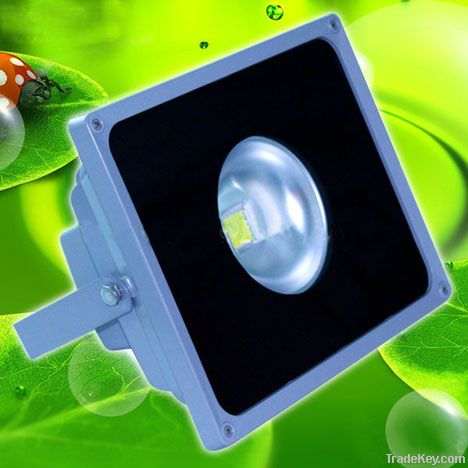 LED Floodlight