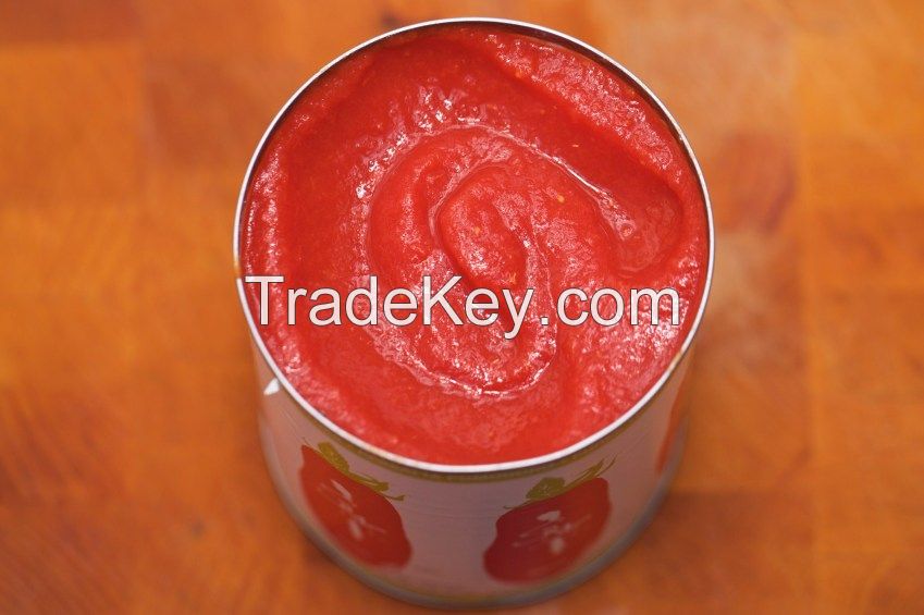 Double Concentrate Canned Tomato Paste 