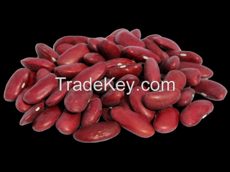 Red Kidney Beans Raw Kidney Beans