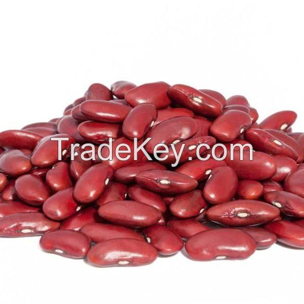 Red Kidney Beans Raw Kidney Beans