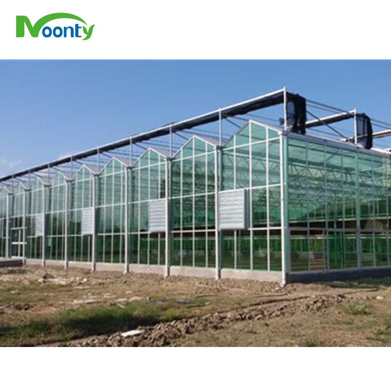 Glass Greenhouse