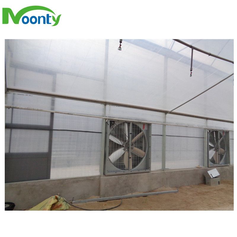 Evaporative Cooling Pad &amp; Fan System for Agricultural Greenhouse