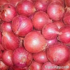 Indian Fresh Onions