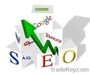 professional website google top ranking promotion