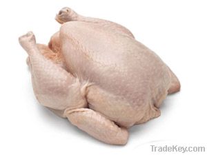 Halal Frozen Whole Chicken