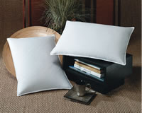 Down &amp; Feather Pillow