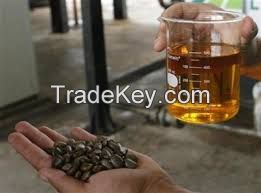 Selling quality Jatropha oil for bio-diesel