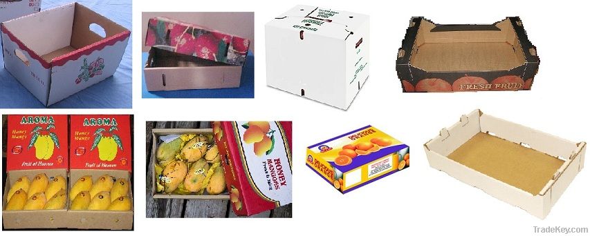 Corrugated Shipping Cartons / Boxes