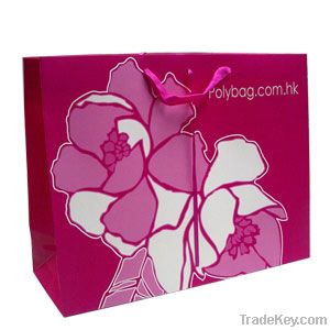 simple paper shopping , promotional bag in kraft , white cardboard