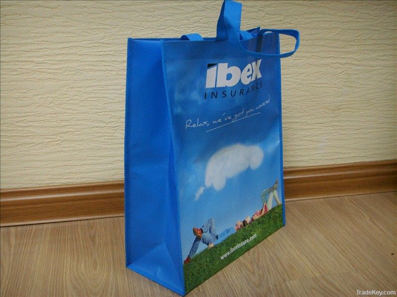 PP non woven shopping , promotional bag, advertisement bag