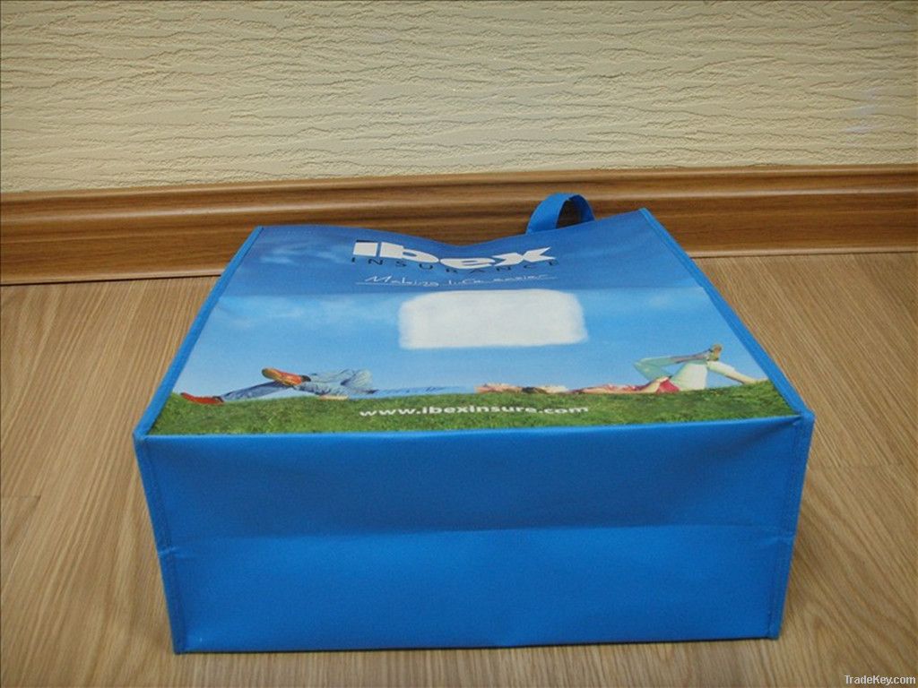 PP non woven shopping , promotional bag, advertisement bag