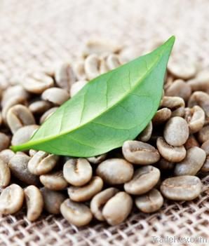 Green Coffee Bean extract