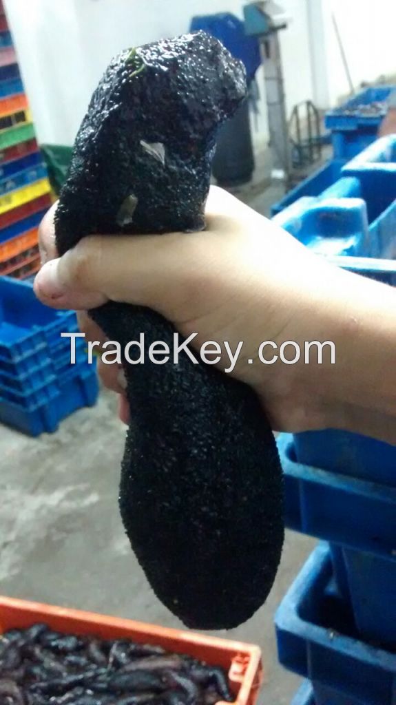 Peruvian Dried sea cucumber