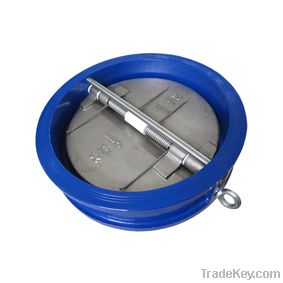 CI check valve