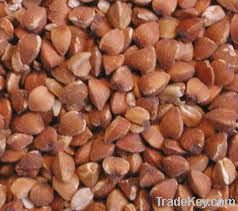 Raw Groundnuts, Wheat, Corn, Yellow Corn, Barley, Oats, Buckwheat, Mill